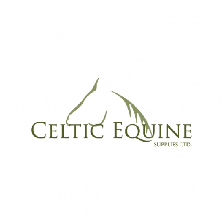 Celtic Equine