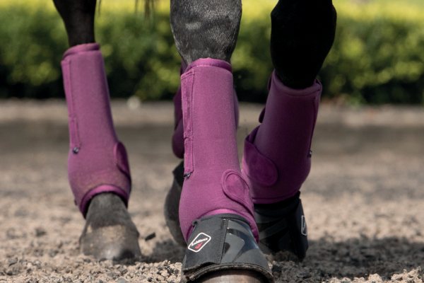 Griffin NuuMed Saddlery & Equipment