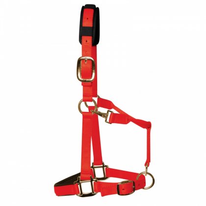 KM Elite Luxury Padded Headcollar KM Elite Luxury Padded Headcollar