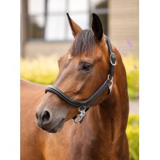 Le Mieux Leather Grooming Headcollar Black