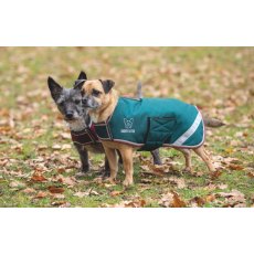 Digby & Fox Waterproof Dog Coat Forest