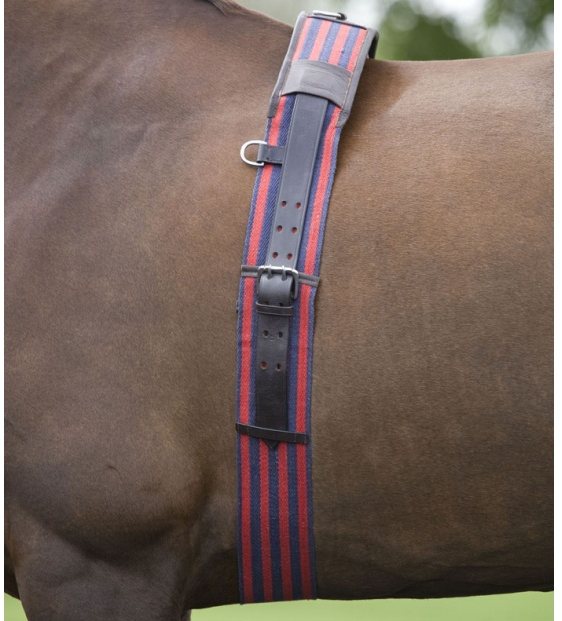 Shires Web Lunging Roller