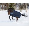 horse running through snow