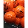 Arena Polo Balls