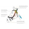 Bridle fitting guide