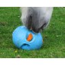Horse eating from carrot ball