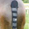 Horse wearing striped tail guard