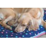 Digby & Fox Waterproof Dog Bed Tennis Ball Print