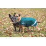 Shires Digby & Fox Waterproof Dog Coat Forest