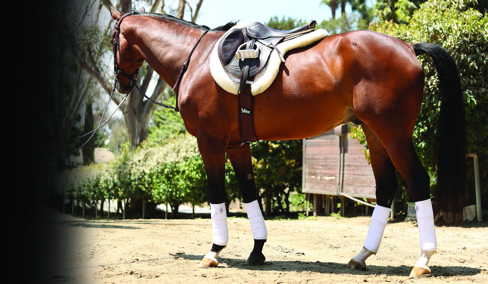 Equestrian Products and Polo Equipment. Tally Ho Farm Ltd