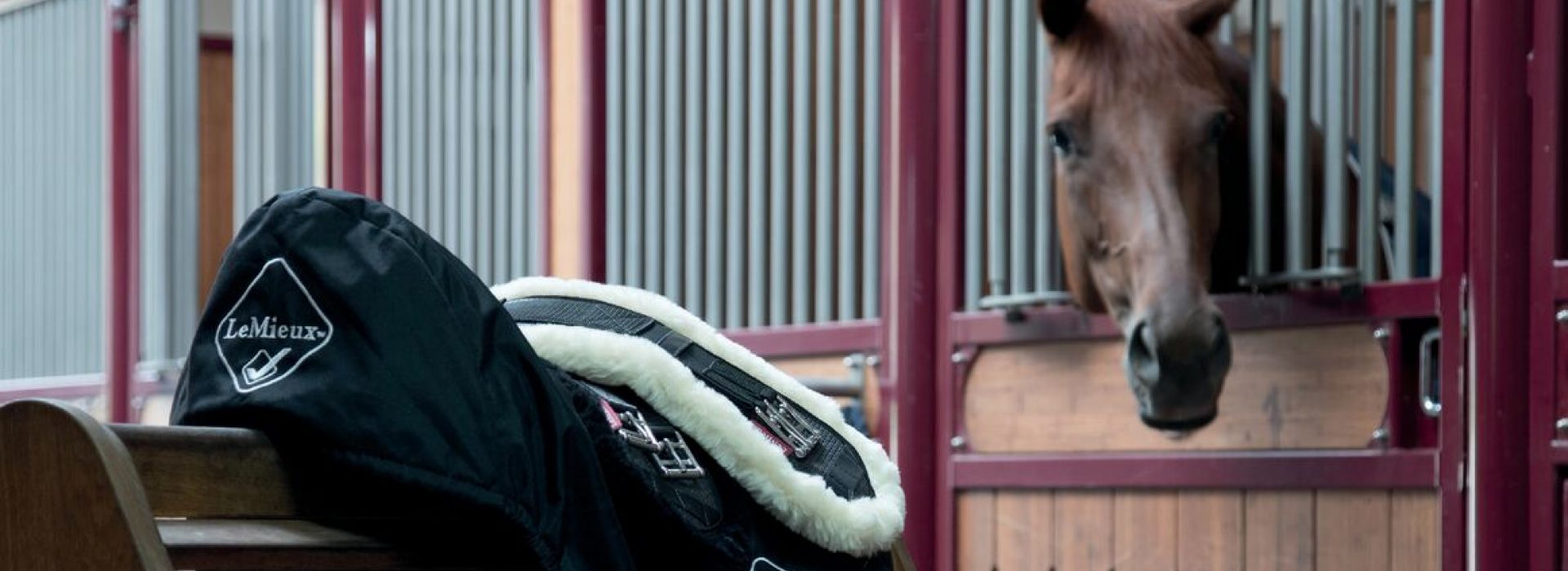 Horse Riding Accessories Tally Ho Farm Ltd