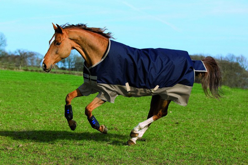 Horse Rugs for Sale Pony Rugs Tally Ho Farm Ltd