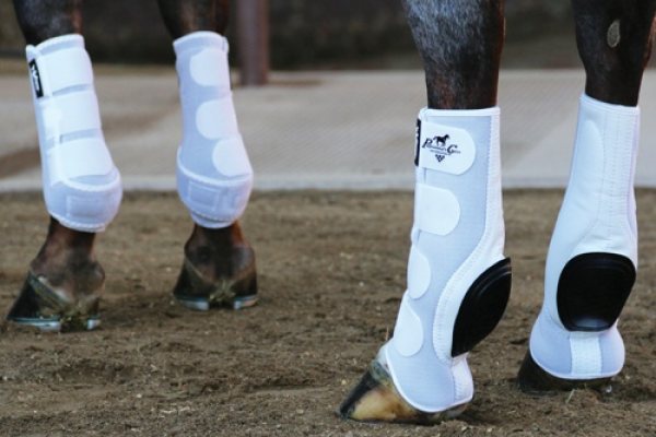 Polo Equipment for the Horse