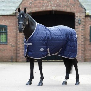 Stable Rugs