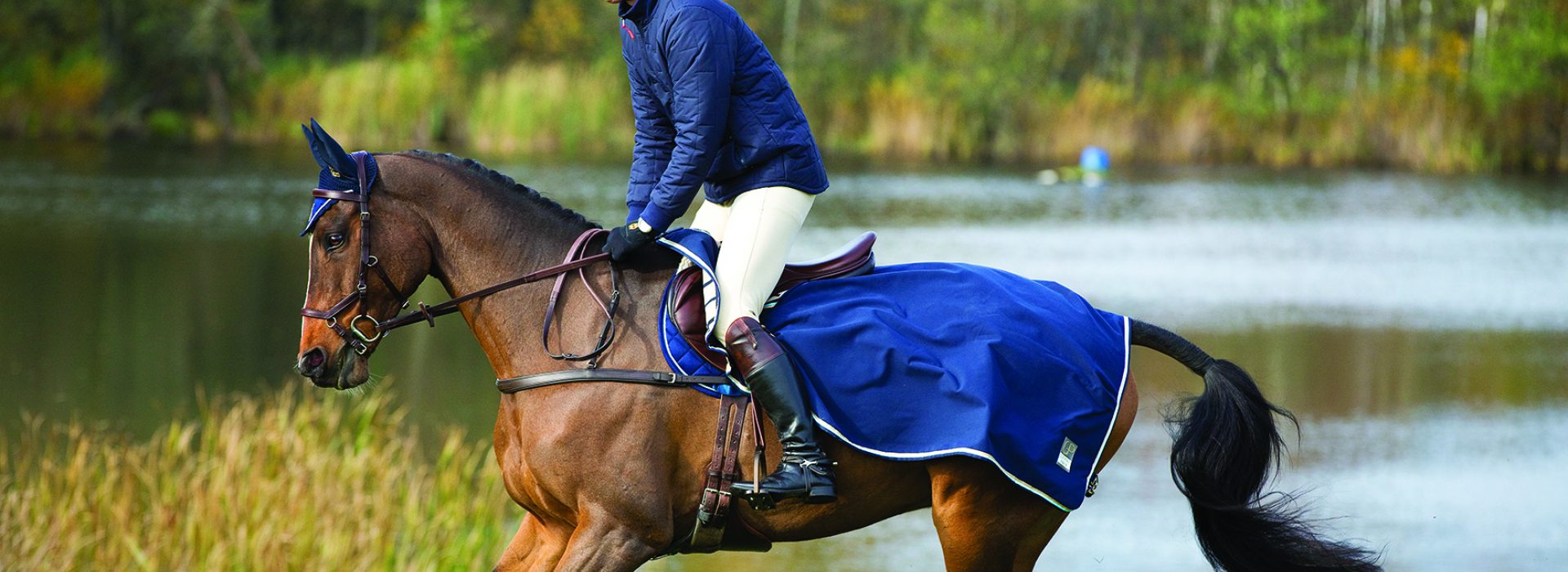 Exercise Rugs