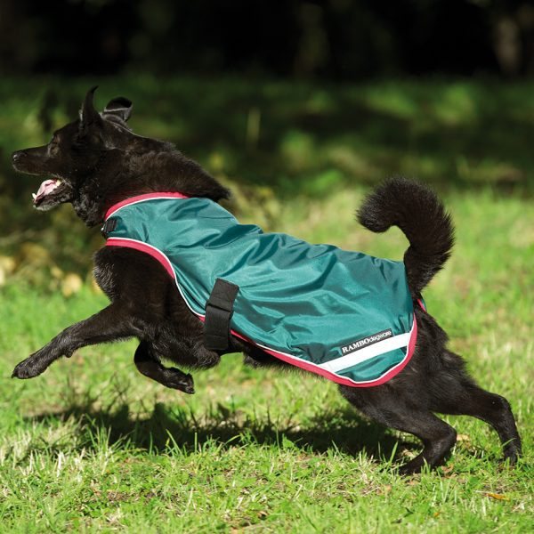 Horseware Rambo Waterproof Dog Rug Tally Ho Farm Ltd