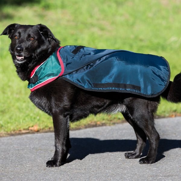 Horseware Rambo Waterproof Dog Rug Tally Ho Farm Ltd