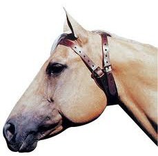 Cribbing collar deals