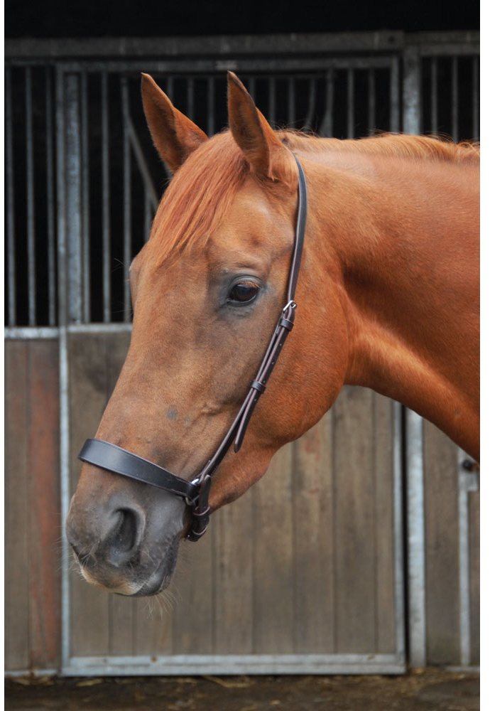 Celtic Equine Complete Polo Bridle - Tally Ho Farm Ltd