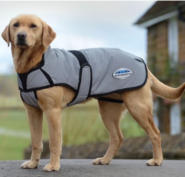 Weatherbeeta Comfitec Reflective Dog Coat Tally Ho Farm Ltd