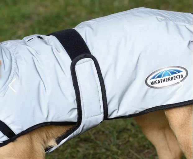 Weatherbeeta Comfitec Reflective Dog Coat Tally Ho Farm Ltd