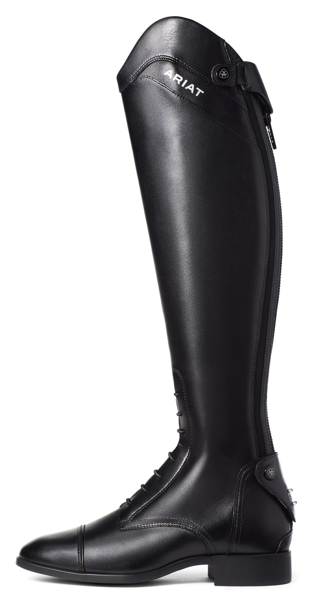 Ariat Women's Palisade Tall Riding Boot Tally Ho Farm Ltd