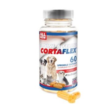 Dog Supplements