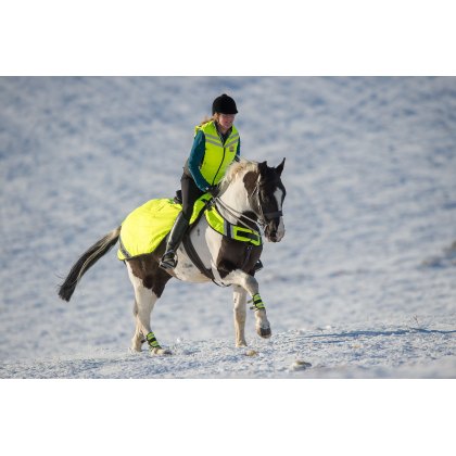 Exercise Rugs