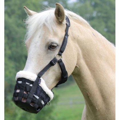 Polo Equipment for the Horse