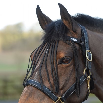Horse Care & Grooming