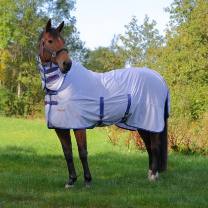 Summer Rugs