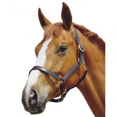 Kincade Triple Stitched Leather Headcollar