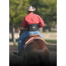 Professional's Choice Comfort-Fit Low Back Support