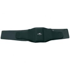 Professional's Choice Comfort-Fit Low Back Support