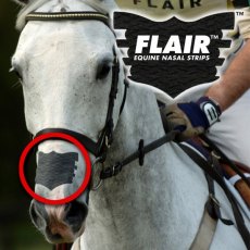 Flair Nasal Strip