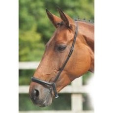 Kincade Drop Noseband