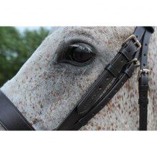 Ascot Complete Polo Bridle