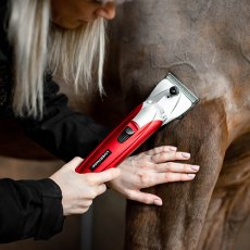 Liveryman Black Beauty Clippers