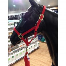 KM Elite Polo Headcollar