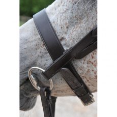 Ascot Plain Noseband