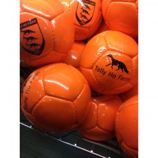 Tally Ho Farm Arena Polo Balls (Match Legal)