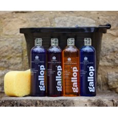 Gallop Colour Enhancing Shampoo