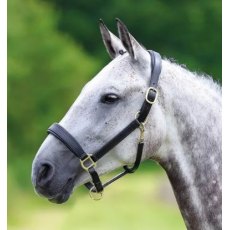 Velociti GARA Padded Leather Headcollar