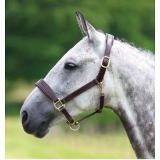 Velociti GARA Padded Leather Headcollar