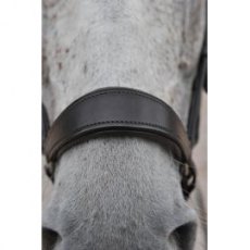 Ascot Polo Drop Noseband