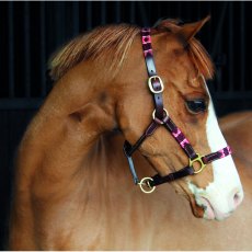 Celtic Equine Chukka Leather Headcollar