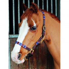 Celtic Equine Chukka Leather Headcollar