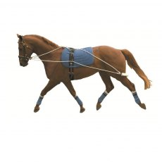 Kincade Lunging Training System