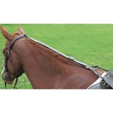 Shires Nylon Daisy Rein