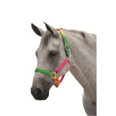 Roma Rainbow Headcollar